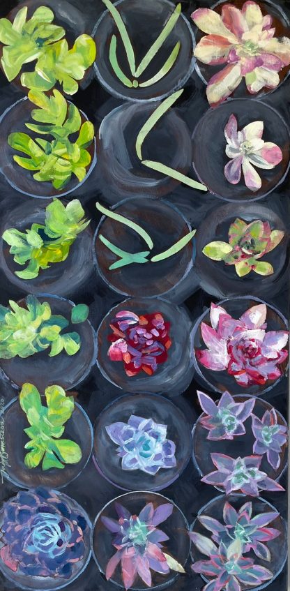 R Succulents 5