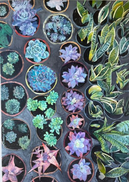 R Succulents 1